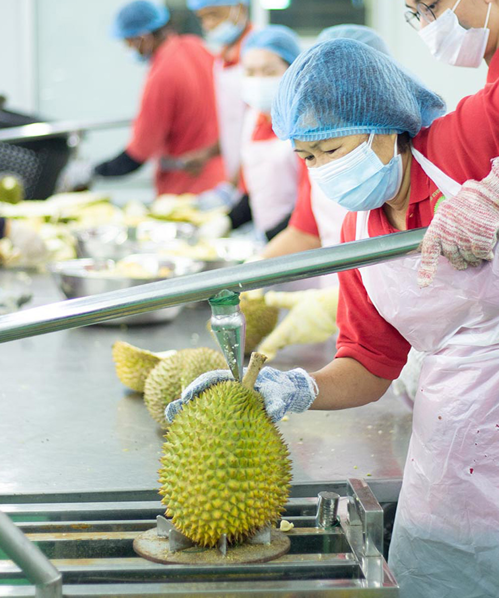 Nitrogen Frozen Durian Malaysia | Frozen Musang King Malaysia