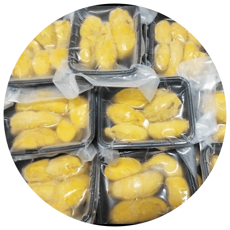 Nitrogen Frozen Durian Malaysia | Frozen Durian Pulp Malaysia |  Malaysia Durian Paste Supplier 