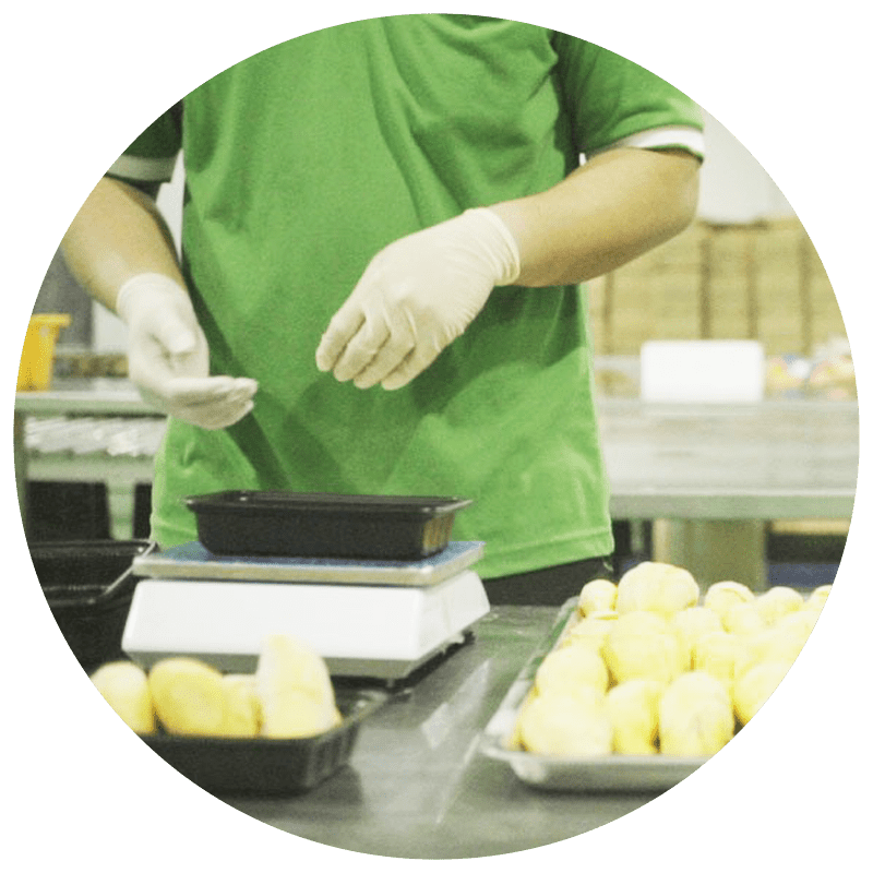 Nitrogen Frozen Durian Malaysia | Frozen Durian Pulp Malaysia |  Malaysia Durian Paste Supplier 