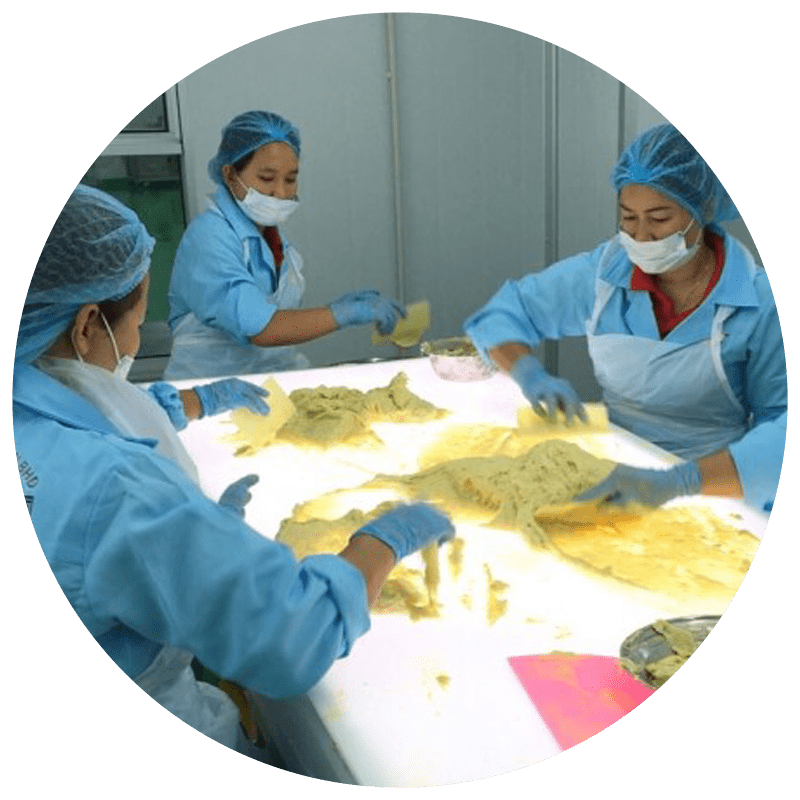Nitrogen Frozen Durian Malaysia | Frozen Durian Pulp Malaysia | Malaysia Durian Paste Supplier